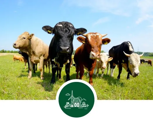 Aziende agricole