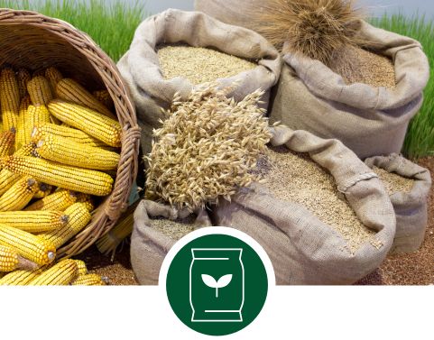 Collaborazioni con Produttori di Mezzi Tecnici