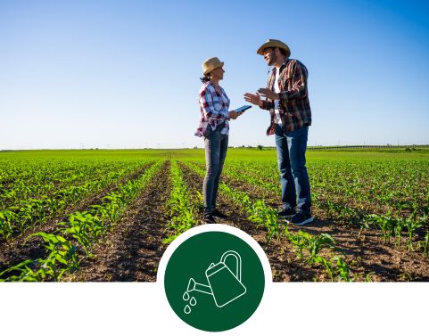 Consulenza per Rivendite Agrarie
