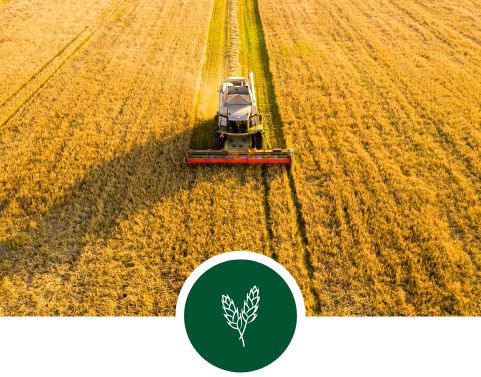Consulenza Agronomica